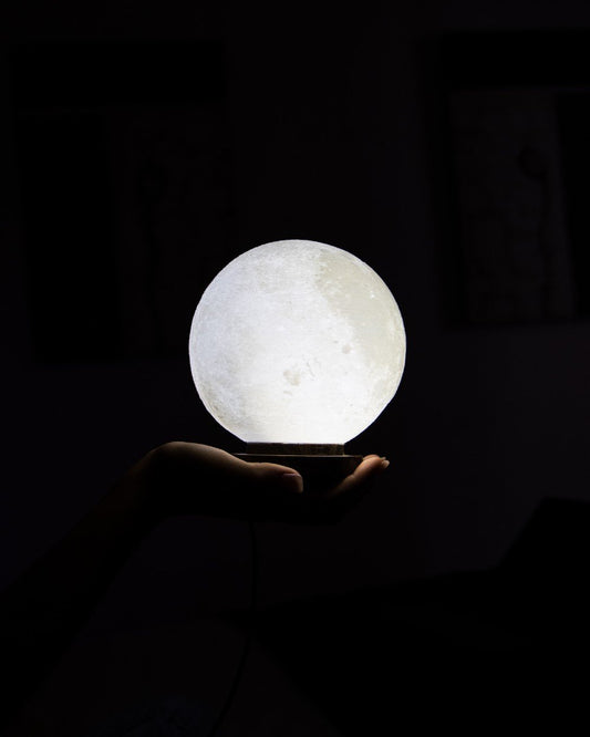 Holding Realistic Moon